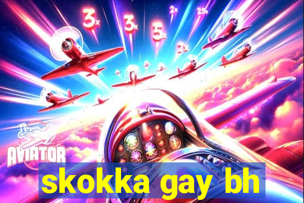 skokka gay bh